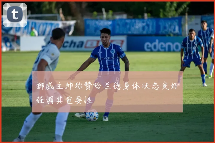 挪威主帅称赞哈兰德身体状态良好强调其重要性