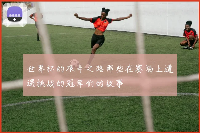 世界杯的艰辛之路那些在赛场上遭遇挑战的冠军们的故事