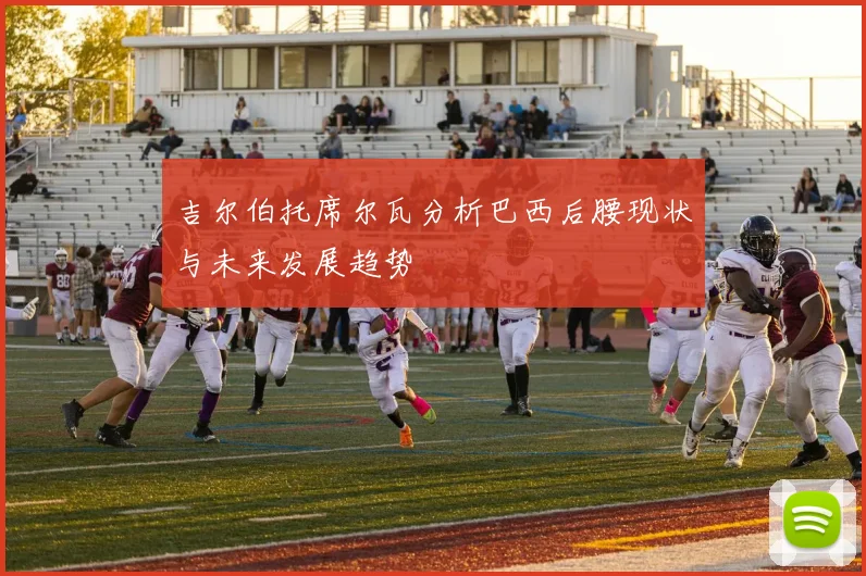 吉尔伯托席尔瓦分析巴西后腰现状与未来发展趋势